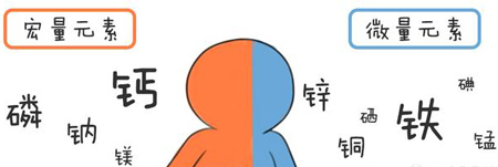 全自动2024海角官网首页帮助身体维持健康