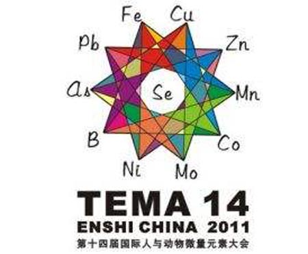 海角社交入口APP厂家分析元素之间的协同作用