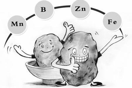海角社交入口APP厂家分析元素之间的协同作用