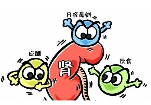 全自动海角社交入口APP厂家谈肾脏病与微量元素的关系