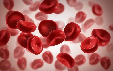 医用2024海角官网首页厂家解析血液中的矿物质—铁元素