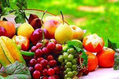 海角社交入口APP厂家介绍什么水果带有微量元素