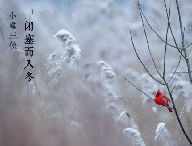 全自动微量分析仪厂家山东HJBA85海角论坛登录提示您天冷了，照顾好自己！奥利给