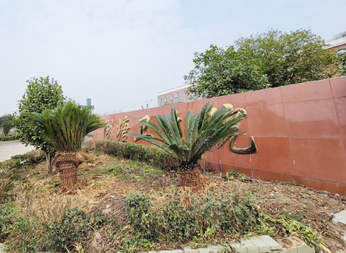 儿童2024海角官网首页品牌山东HJBA85海角论坛登录为湖塘卫生院供货