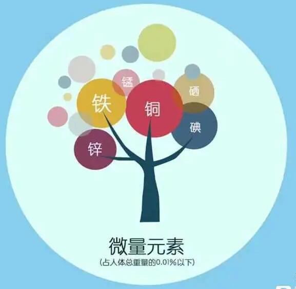 人体2024海角官网首页厂家哪家好