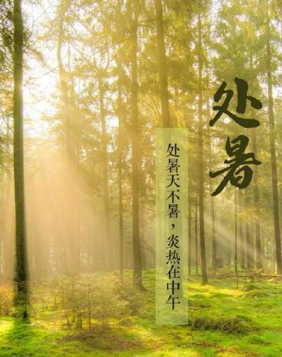 2024海角官网首页品牌HJBA85海角论坛登录提醒处暑每天做3件事情，健脾开胃，稳定出伏