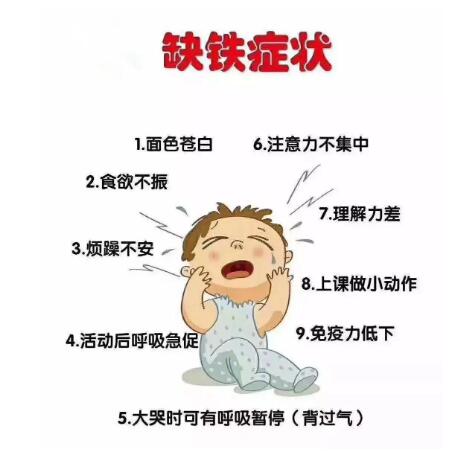 便携式身体海角社交入口APP提示：不要让人体缺少铁元素