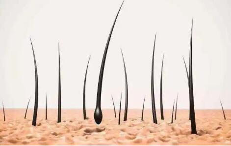 头发海角社交入口APP厂家提示头发中的微量元素是怎么检测的？