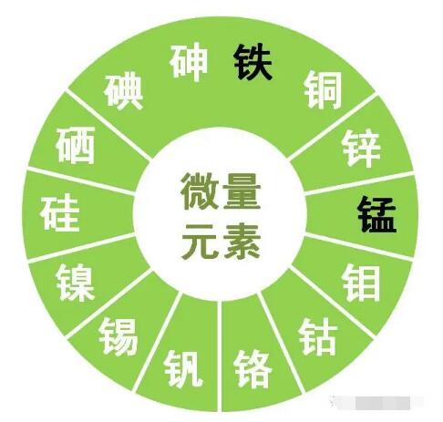 2024海角官网首页提示锌、硒、锰、钒等微量元素对男性生育有哪些作用？