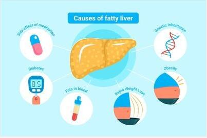2024海角官网首页厂家提示小宝宝需要每天补钙和鱼肝油吗？