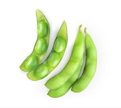 医用微量元素测试仪厂家提示健脑又补铁，小宝宝成长发育可以多吃这种蔬菜